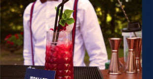 Bar a mojito evenements professionnel lyon fin Pallet