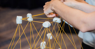 Activités team-building