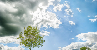 Séance couple à Plaisance-du-Touch