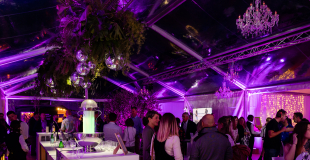 Organisation et décoration d'un inauguration d'entreprise