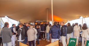 Organisation soirée d'entreprise pour Perrier