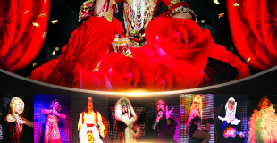 artiste transformiste