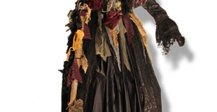 Sorcière échassière