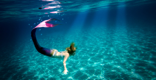 Freya la sirène ondulant dans une eau turquoise