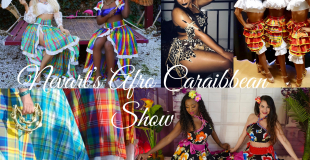 Danseuses Afro Caraïbes