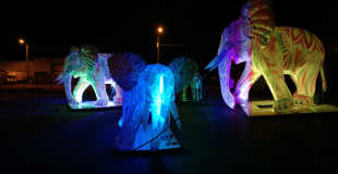 Les Zéléphants illuminés