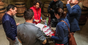 Dégustation troglodytique