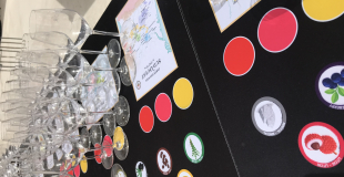 Bar à vin mobile ludique