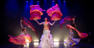 Troupe danseuses orientales