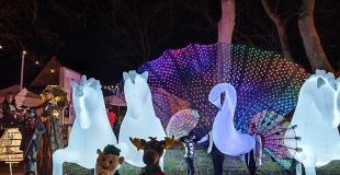 Parade lumineuse 9 artistes