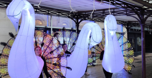 Parade lumineuse 3 artistes