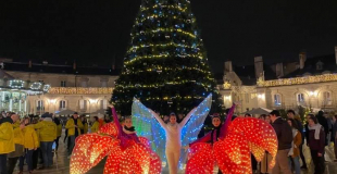 Parade lumineuse 3 artistes