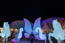 Parade lumineuse 9 artistes