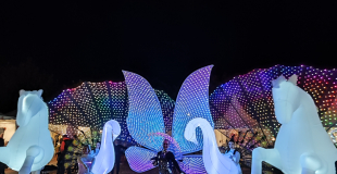 Parade lumineuse 9 artistes