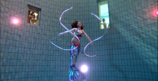 Prestation bassin vitré