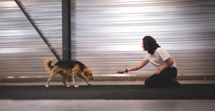 DD - juliette et kodi 3