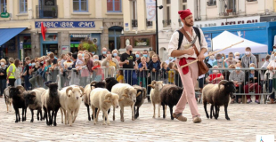 FDM - déambulation de moutons