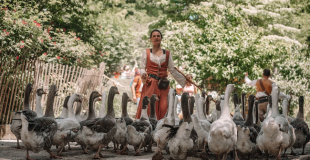 OS - troupeau et juliette