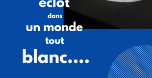 Spectacle visuel jeune public