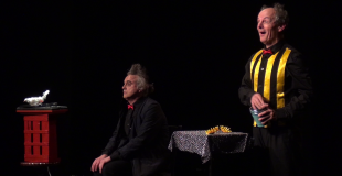 Magie humoristique visuel show