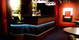 Soirée d'entreprise et VIP