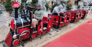 installation petit train touristique pour enfants streetevent