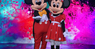 Couple Mickey & Minnie