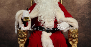 Papa Noël