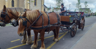 Nos 2 chevaux comtois