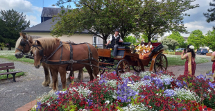 Mariage indou juillet 2025