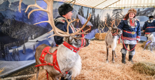 Les rennes à Villers la motagne