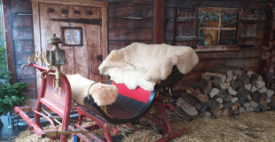 Notre véritable traineau Suisse