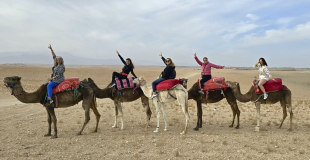 Balade chamelière - Marrakech
