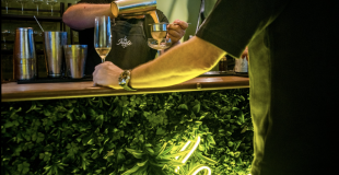 Ambiance végétale et cocktails sur-mesure pour l’ouverture de La Jungle.