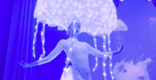 Les meduses lumineuses