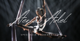 Spectacle Tissu aérien