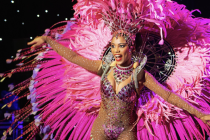 Show brésilien glamour avec plumes roses et costume scintillant. Parfait pour grandes scènes et événements premium.