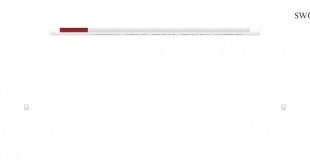 Swordpoint Sécurite