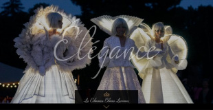 Echassiers Blancs Lumineux