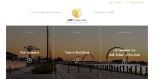 MSP Consulting