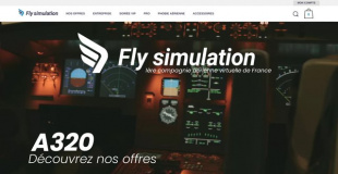 Fly Simulation