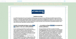 Elevage cob normand des roches