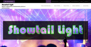 Disc jockey - Showtail Light